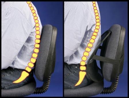 PosturePro Back Support for Office Chair & Car Seat