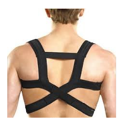 Back support