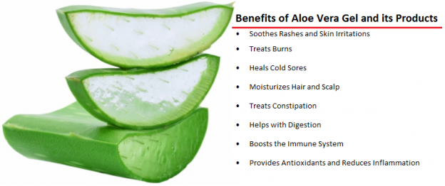 Benefits of Aloe Vera Gel and its Products