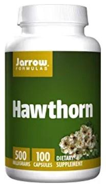 Hawthorn (Crataegus oxycantha)