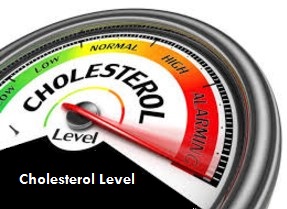 Supplements to control Cholesterol Level