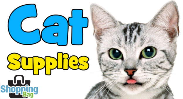 Best Cat Supplies Available Online In Pakistan