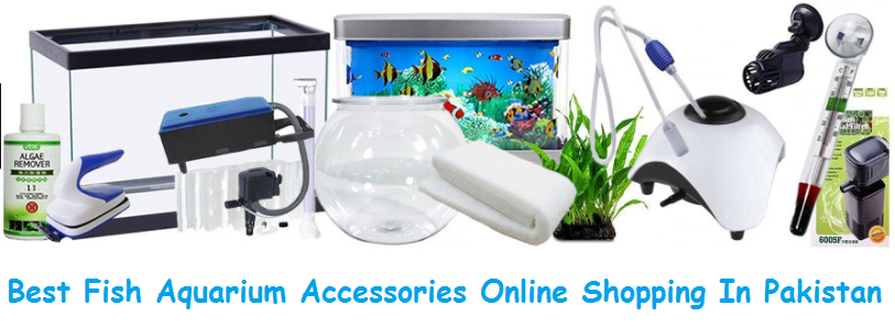 best fish aquarium accessories