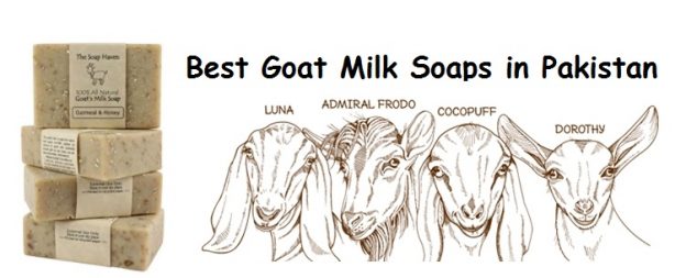 Best Goat Milk Soaps in Pakistan