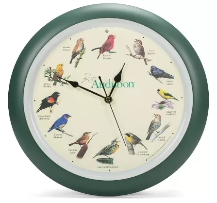 Analog Singing Bird Wall Clock - Size: 13
