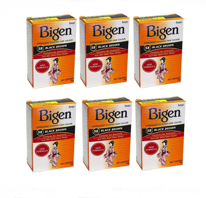 Bigen Ammonia Free Powder Hair Color Pack of 6