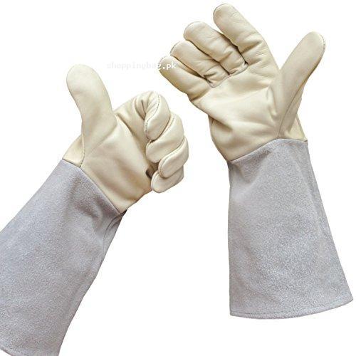 Euphoria Rose Gardening Leather Gloves