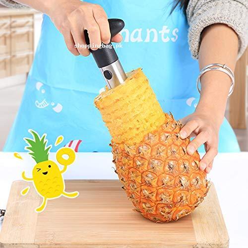 Stainless Steel Pineapple Slicer Peeler Cutter Knife