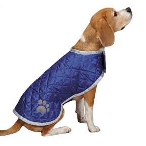Casual canine coats primarily produced pet dogs